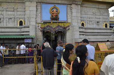 Chamundi Hill, Mysore_DSC4645_H600